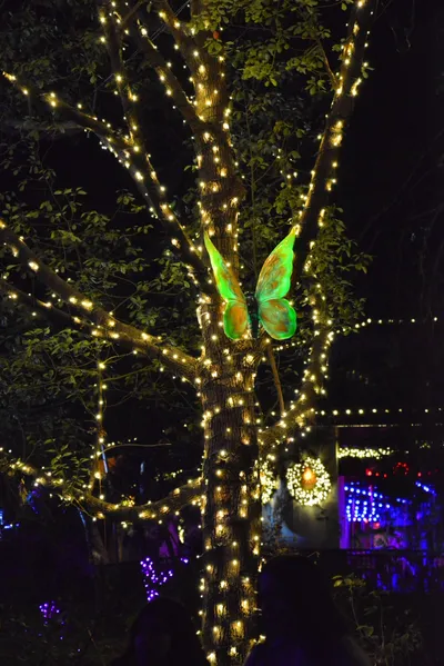 DSC_6998 (Large).JPG